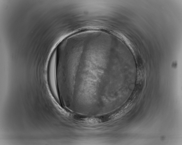 X0000098190795200804241244