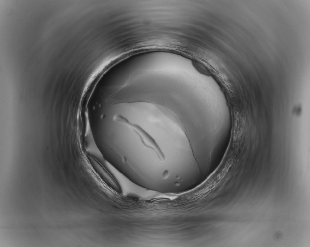 X0000098190796200804241244