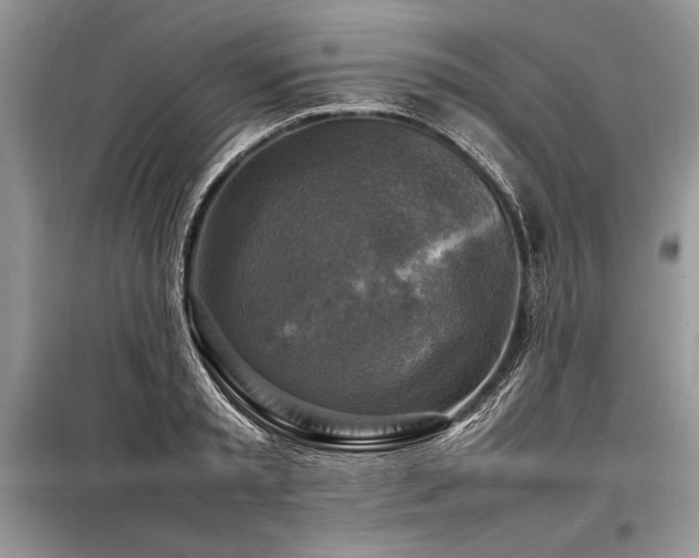 X0000098190797200804241244