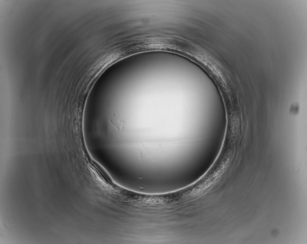 X0000098190801200804241243