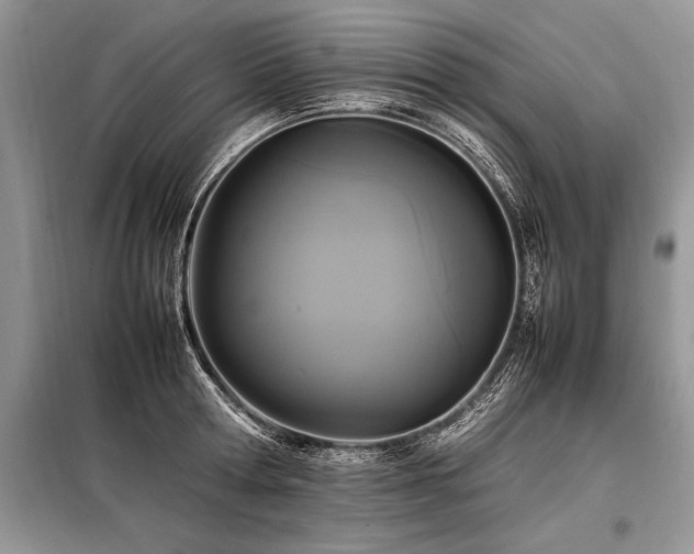X0000098190802200804241243