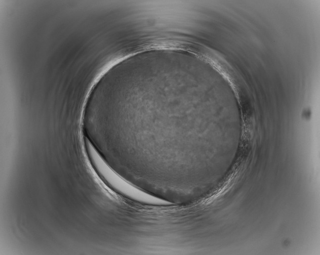 X0000098190803200804241243