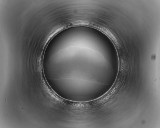 X0000098190806200804241243