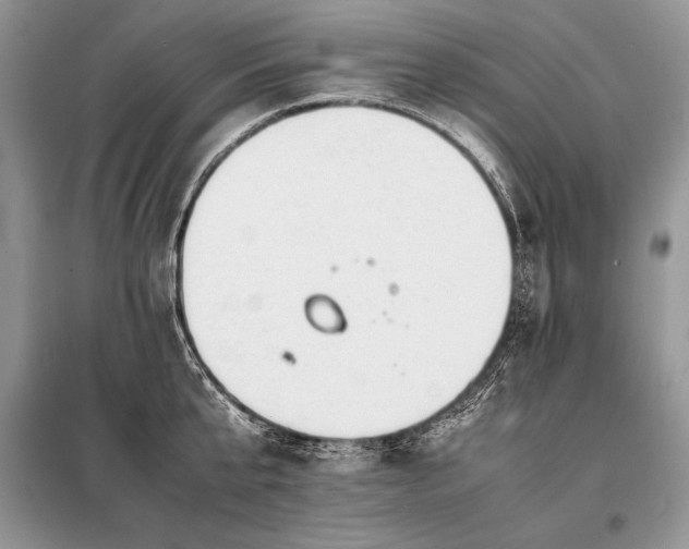 X0000098190807200804241243