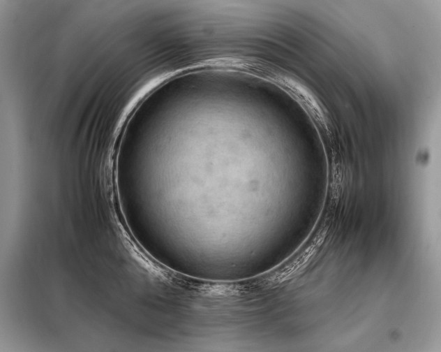 X0000098190808200804241243