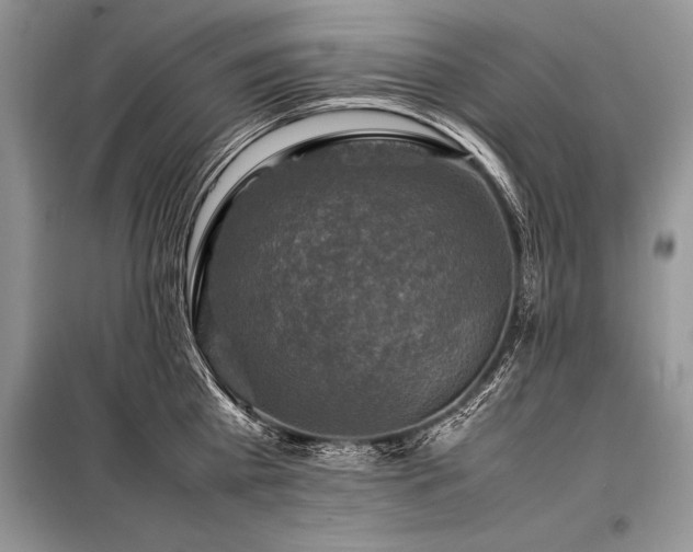 X0000098190809200804241243
