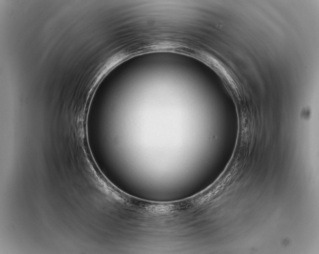 X0000098190810200804241243