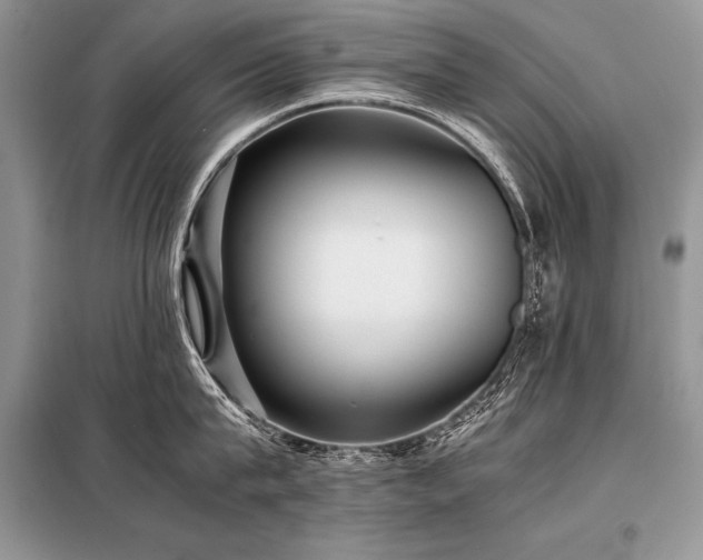 X0000098190815200804241243