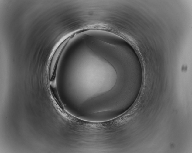 X0000098190816200804241243