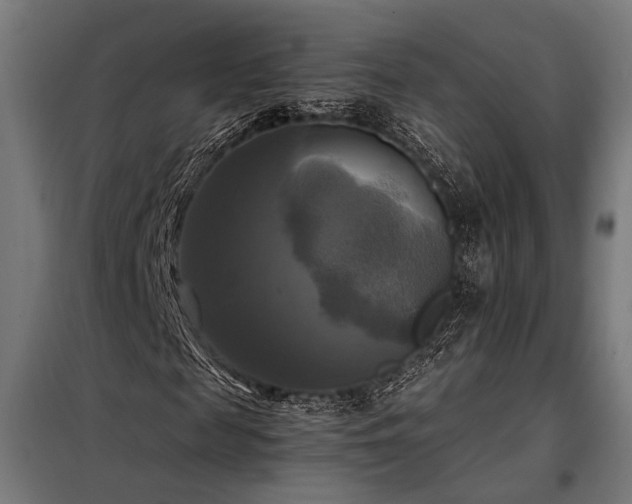 X0000098190817200804241242