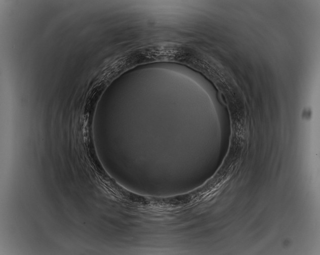X0000098190818200804241242
