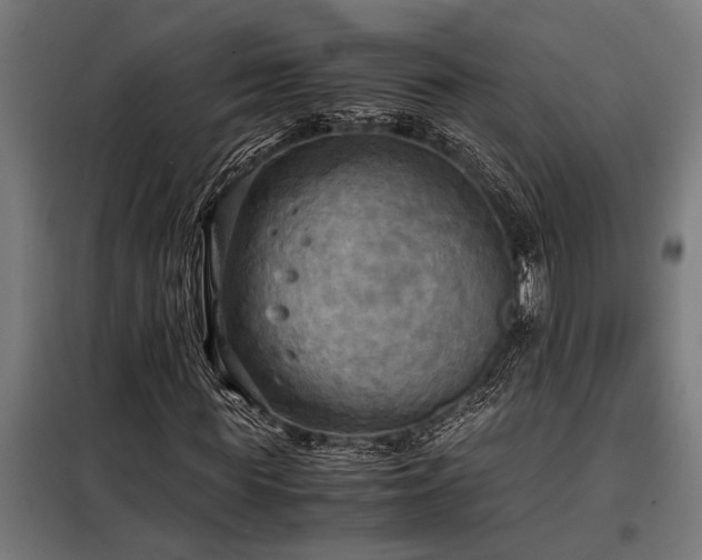 X0000098190819200804241242