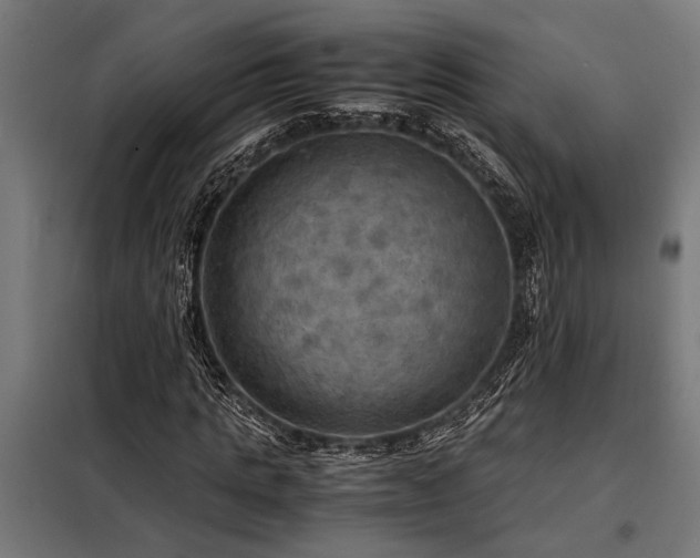 X0000098190821200804241243