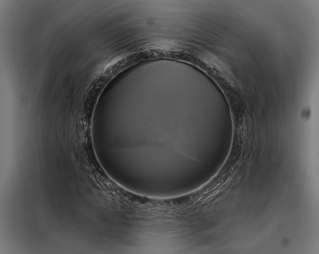 X0000098190822200804241243