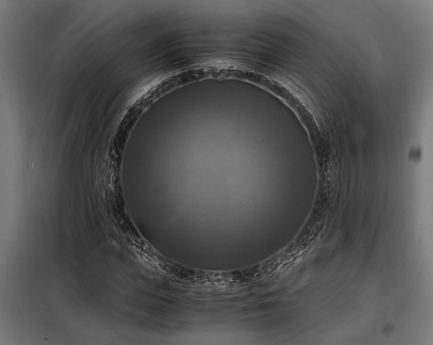 X0000098190823200804241243