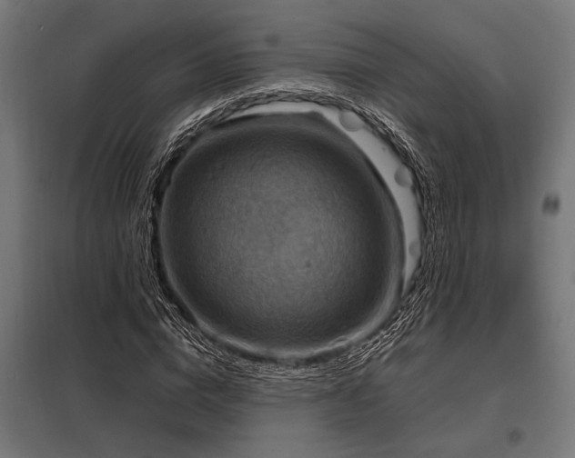 X0000098190824200804241243