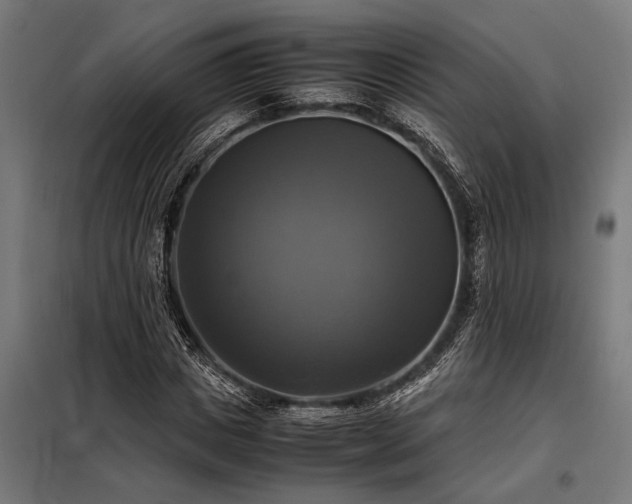 X0000098190825200804241243