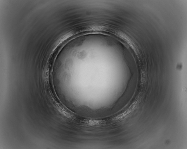 X0000098190827200804241243
