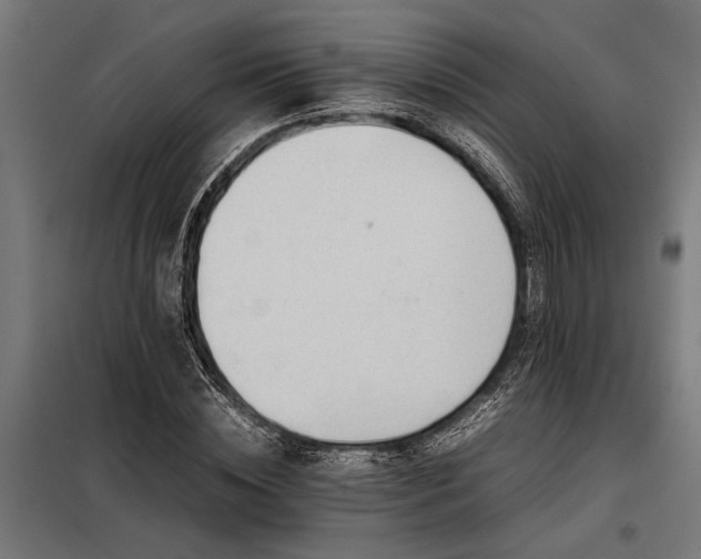 X0000098190828200804241243