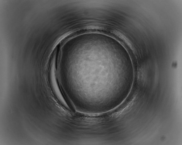 X0000098190829200804241243