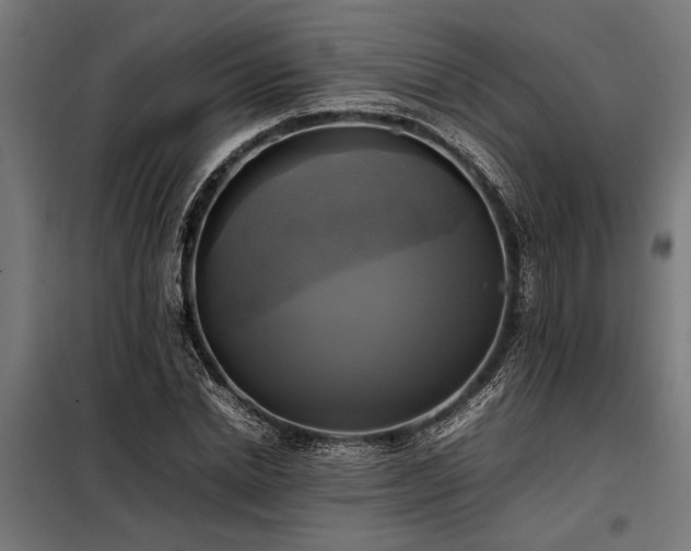 X0000098190830200804241243