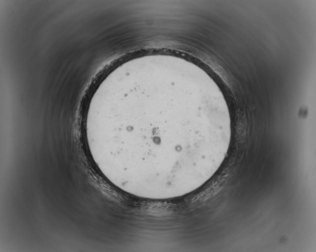 X0000098190832200804241243