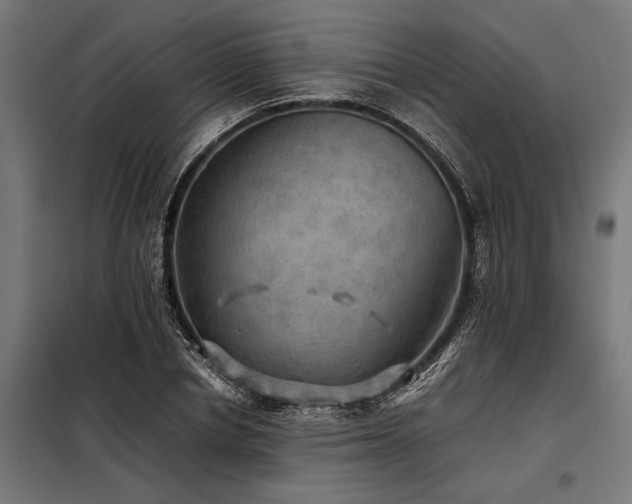 X0000098190834200804241243