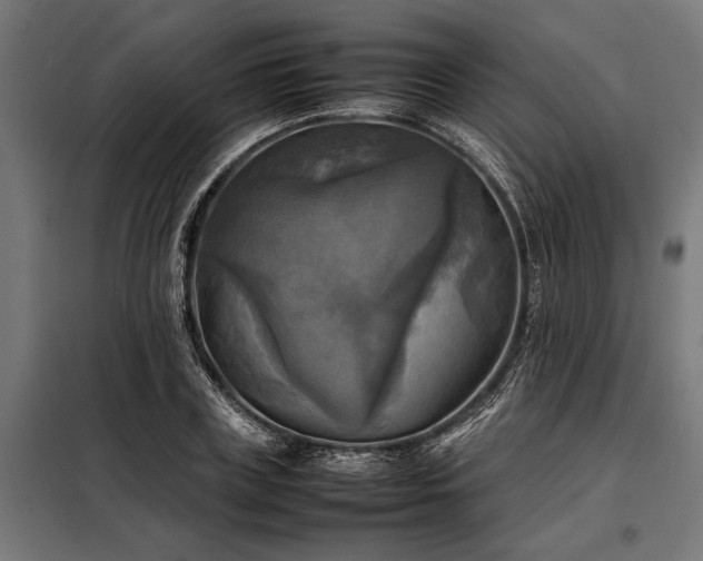 X0000098190835200804241243