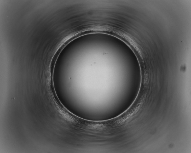X0000098190837200804241243