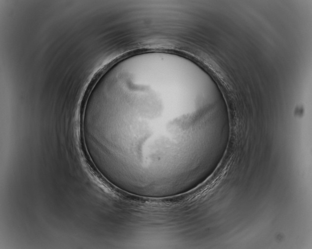 X0000098190840200804241243