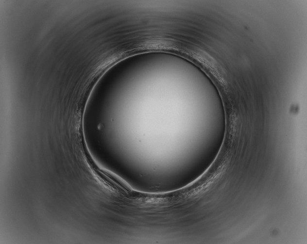 X0000098190841200804241243