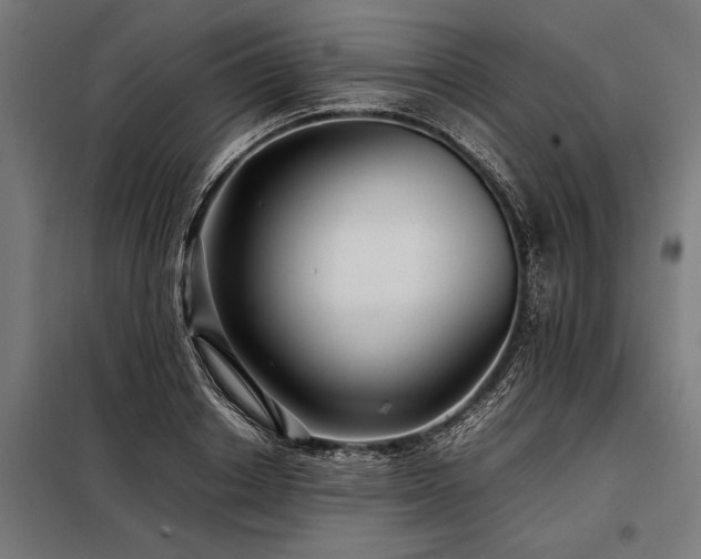 X0000098190842200804241243