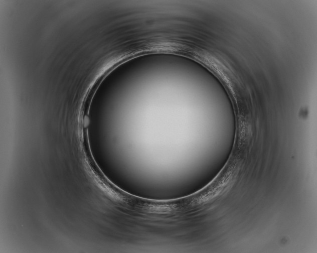 X0000098190843200804241243