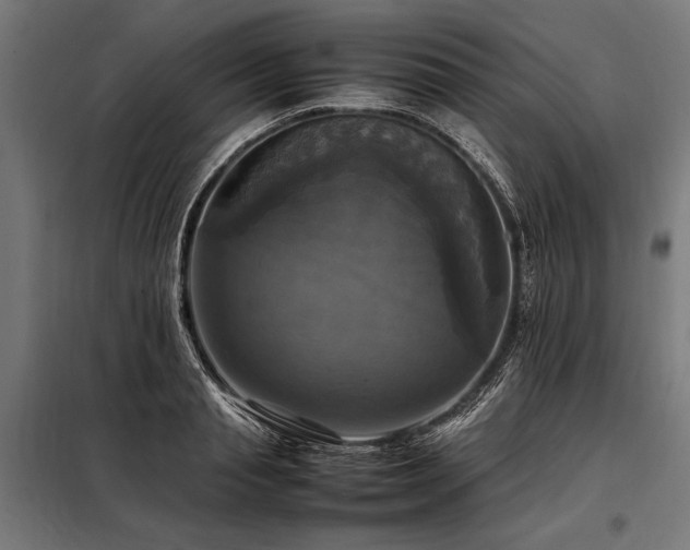 X0000098190845200804241243