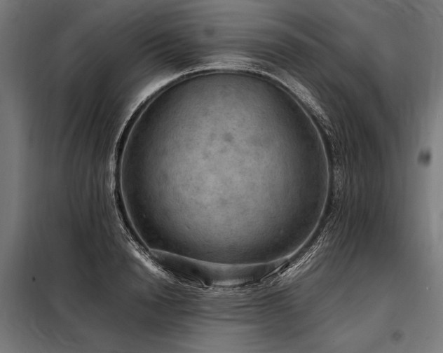 X0000098190846200804241243