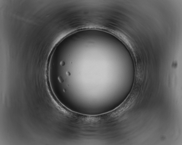 X0000098190847200804241243