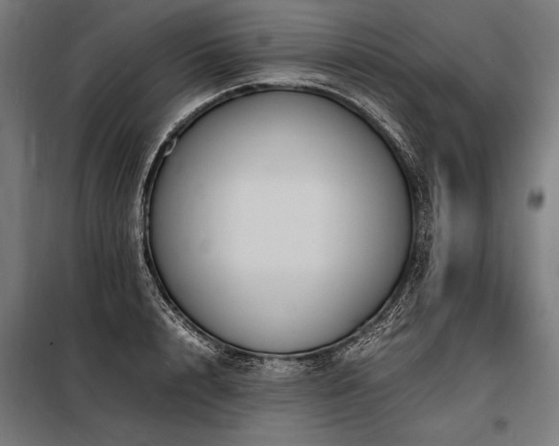 X0000098190848200804241243