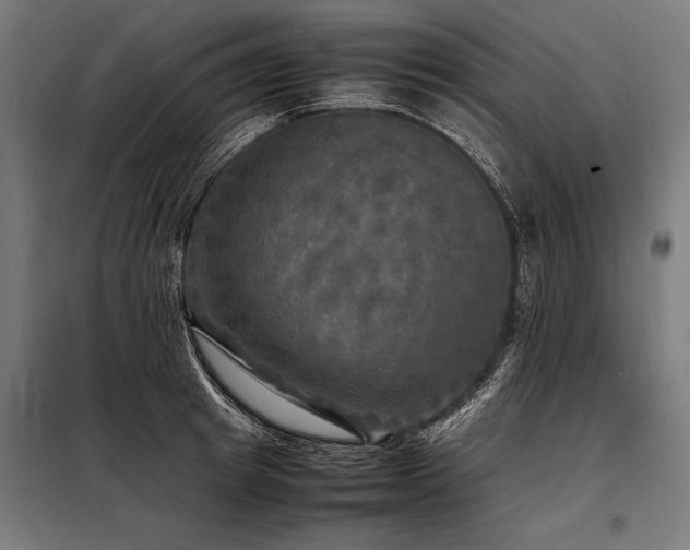 X0000098190849200804241243