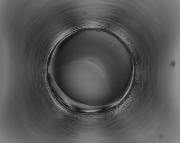 X0000098190850200804241243