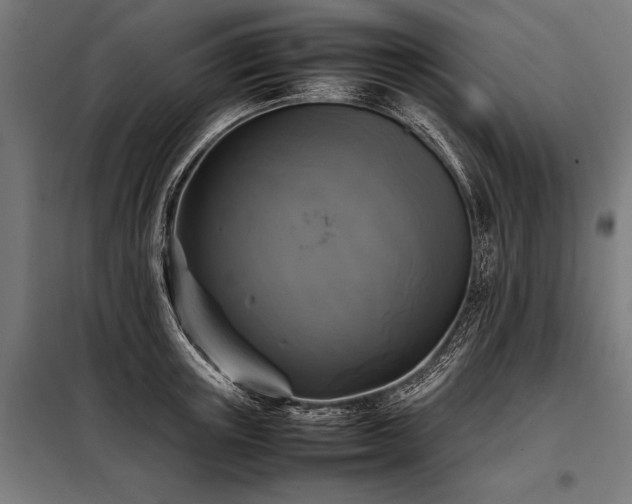 X0000098190851200804241243