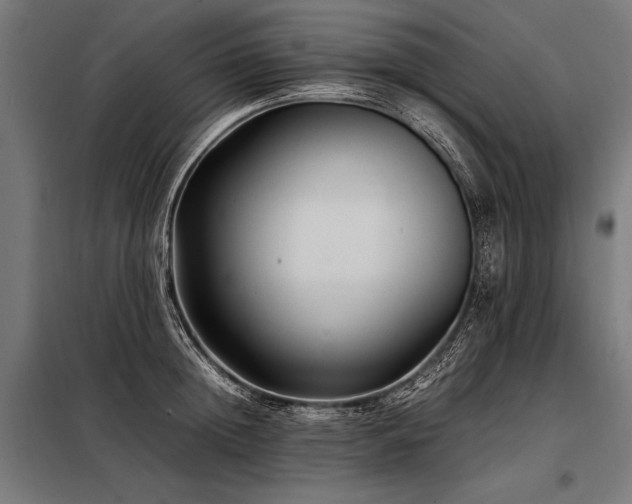 X0000098190852200804241243