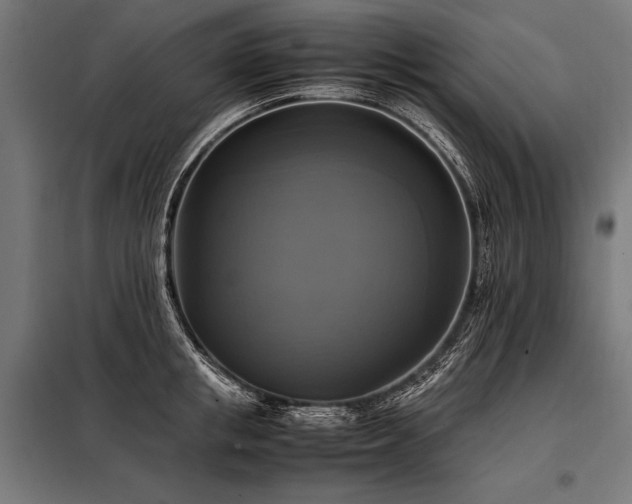 X0000098190853200804241243