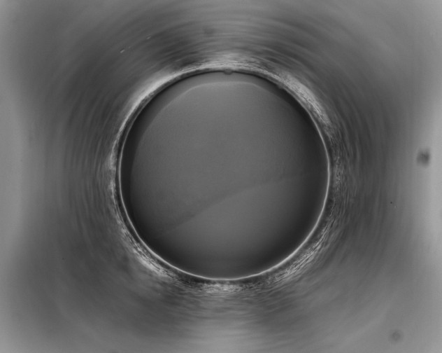 X0000098190854200804241243