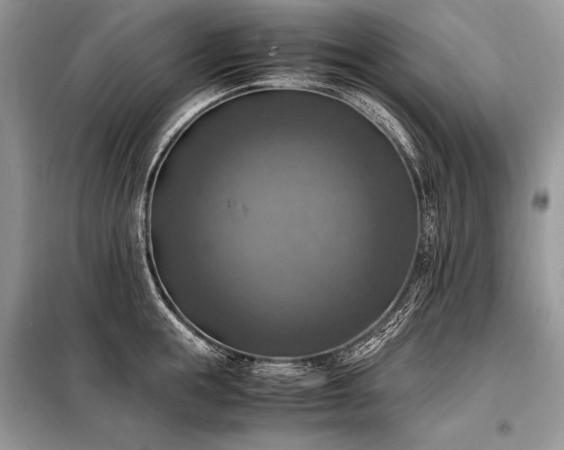 X0000098190855200804241243