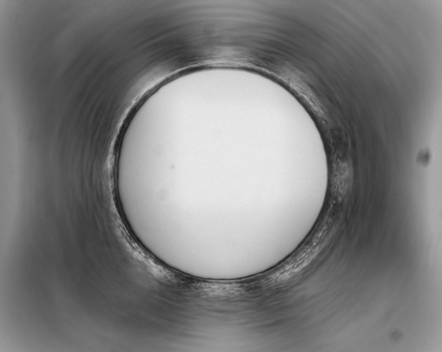 X0000098190856200804241243