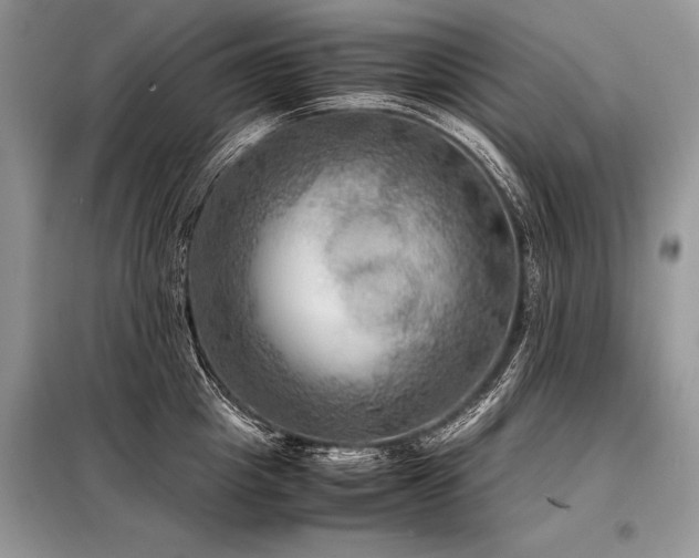 X0000098190857200804241243