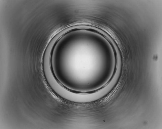 X0000098190858200804241243