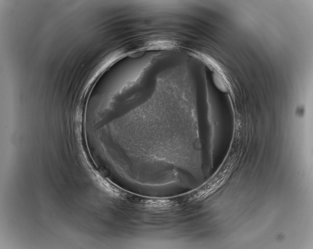 X0000098190859200804241243
