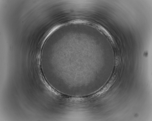 X0000098190860200804241243