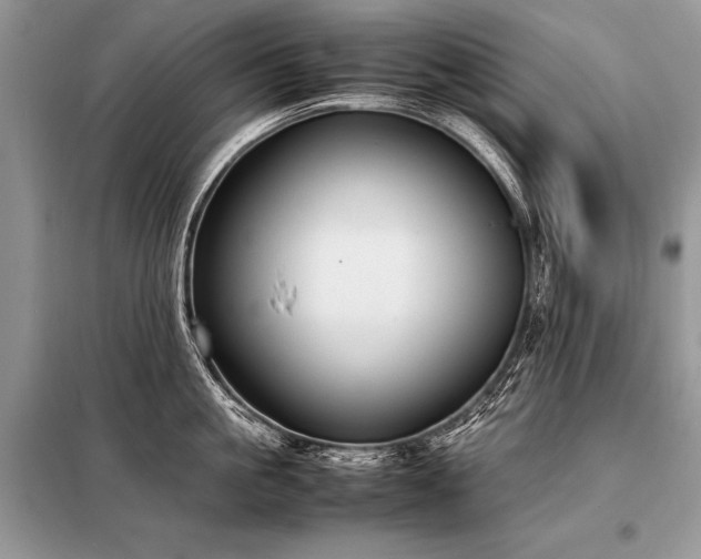X0000098190861200804241243